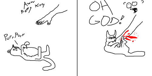 prettykitty.jpg
