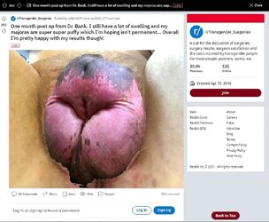 baboon.jpg