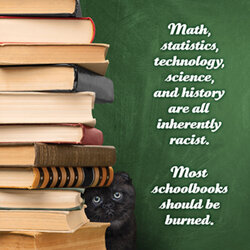 social-justice-kittens2.jpg
