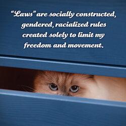 social-justice-kittens3.jpg