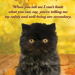 social-justice-kittens4.jpg