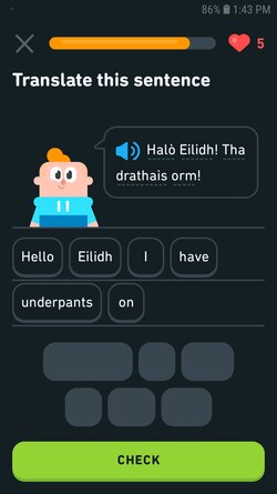 Screenshot_20211028-134322_Duolingo.jpg