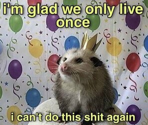 possum live once.jpg