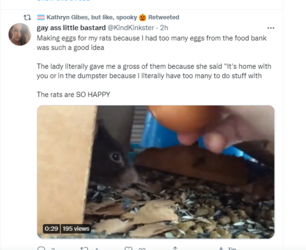 rategg.PNG