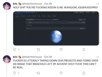 moon picture.png