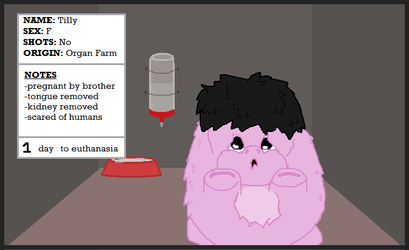 e4bf55d5b94a2a04cb1fbf761581a3a027dcd1f6.png