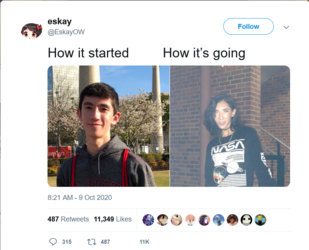 Screenshot 2021-10-31 at 18-34-58 eskay on Twitter How it started How it’s going… .png