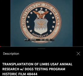 3330ab38-5011-4c86-901f-55ee1af1c0bd.png