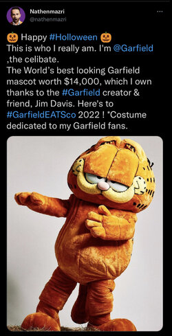 celibate_garfield.jpg