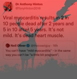 1635899624038.jpg