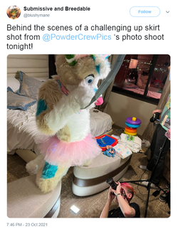 blushymanepowdercrewconnection.png