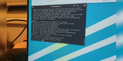 Linus.jpg