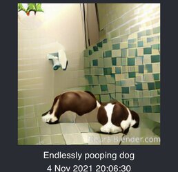 9E79040B-401D-4BF0-8DF5-6CAC6B733F0D.jpeg