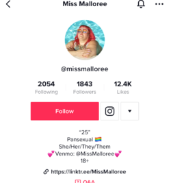 TikTok Landing Page.png