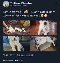 D1B06FC5-4597-4167-B200-C5EDF50420F0.jpeg D1B06FC5-4597-4167-B200-C5EDF50420F0.jpeg