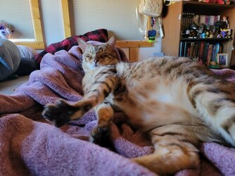 73F98570-C4AB-4C52-8C56-B3A1074966BF.jpeg