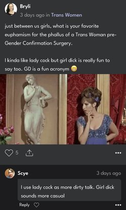 Bryli dickposting.jpg Bryli dickposting.jpg
