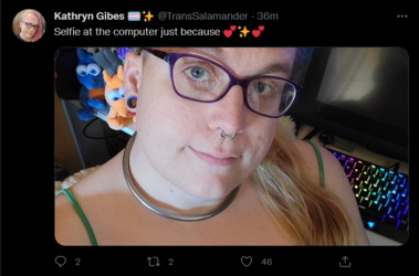Screenshot 2021-11-06 at 18-33-00 Tweets with replies by Kathryn Gibes 🏳️‍⚧️✨ ( TransSalamande...png