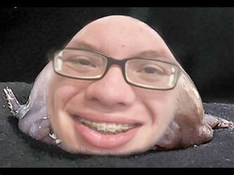 Seanfish.jpg