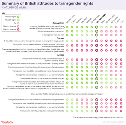 Transgender attitudes summary-01 (1).png