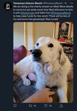 916F21FE-78C2-4589-B616-3CF0ACE7E4F5.jpeg