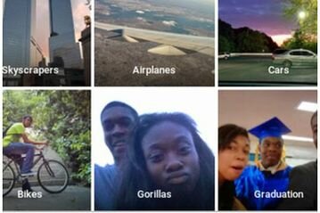 gorillas.jpg
