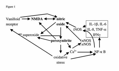 figure-11.jpg
