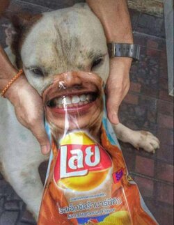 Grinning.jpg