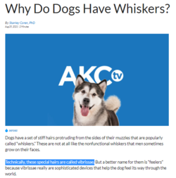 Screenshot 2021-11-10 183117.png