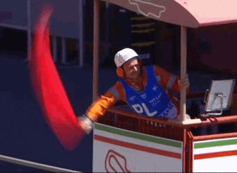 red-flag (1).gif