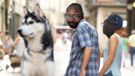 Dognuts Sylvas.png