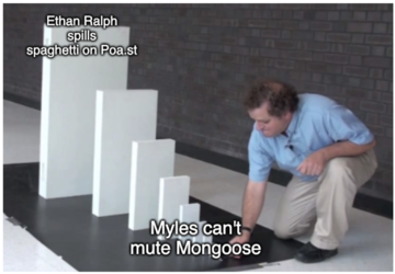 595ab2b7997490c2.png