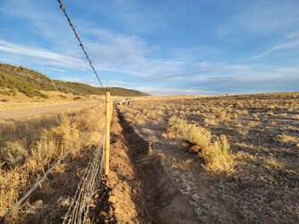 Fence.jpg