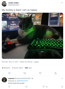 1637006880436.png