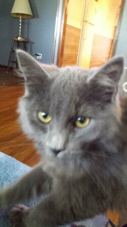 20171022_132722.jpg