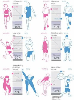 sports differences chart.jpeg