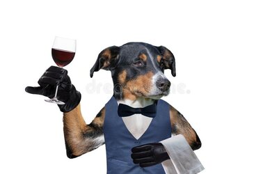 dog-waiter-glass-wine-isolated-white-background-164682425.jpg