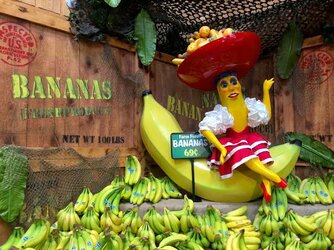 banana republic.jpg