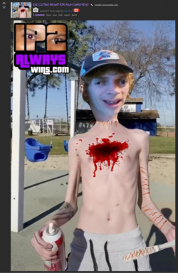 1637179540067.png