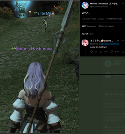 Moona1 copy.png