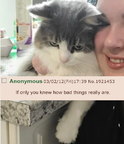 Screenshot 2021-11-17 211527.png