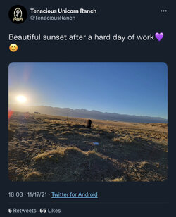 DE57DB84-8E1A-4676-B95A-E86CE402FA43.jpeg