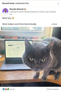 Screenshot_20211118-162958_Chrome.jpg