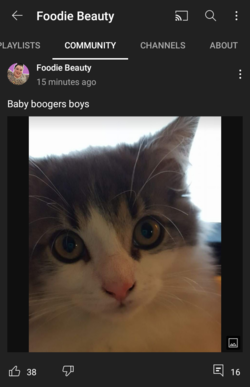 Screenshot_20211118-175842-638.png