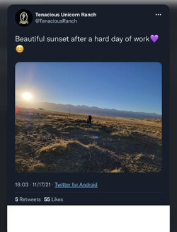 7C3EB9F1-5E2C-4D46-A4D1-4A683D9062DF.jpeg