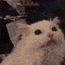 thurston.gif