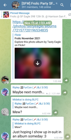 1637369484203.png