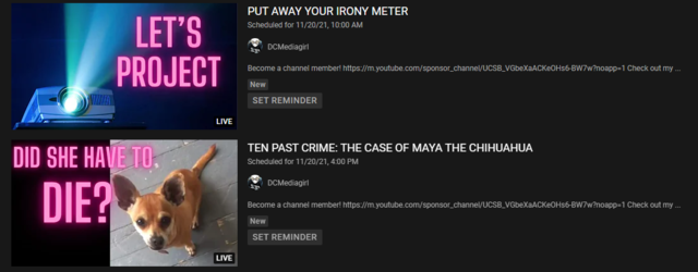 1637379720439.png