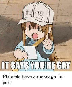 a8e004438a38944a6e74d5ff8059803f.jpg