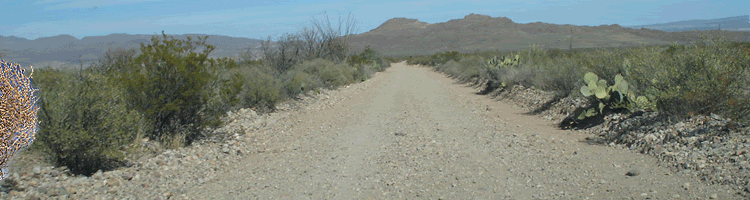 tumbleweed-gif-11.gif